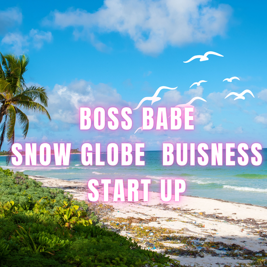 Boss Babe Snow globe Buisness start up bundle